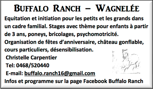 Buffalo Ranch